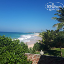 фото из отзыва ID 1929916