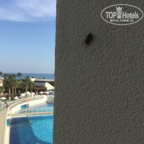 фото из отзыва ID 1929984