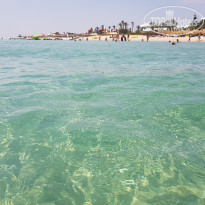 фото из отзыва ID 1929817