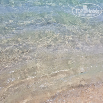 фото из отзыва ID 1929817