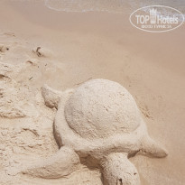 фото из отзыва ID 1929817