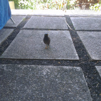 фото из отзыва ID 1923912