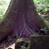 фото из отзыва ID 1922704