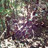 фото из отзыва ID 1922704