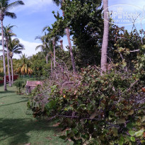 фото из отзыва ID 1930112