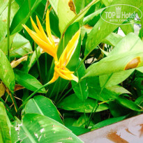 фото из отзыва ID 1930158