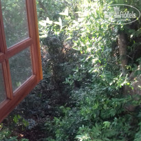 фото из отзыва ID 1930329