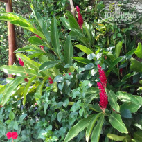 фото из отзыва ID 1930329