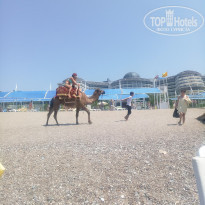 фото из отзыва ID 1930406