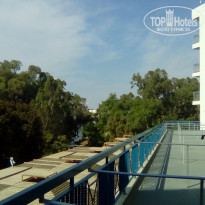 фото из отзыва ID 1930470