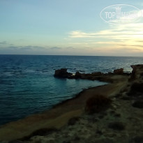 фото из отзыва ID 1930470