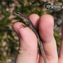 фото из отзыва ID 1930494