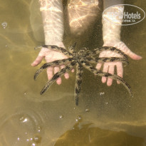 фото из отзыва ID 1930505