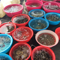 фото из отзыва ID 1930505