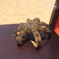 фото из отзыва ID 1930505