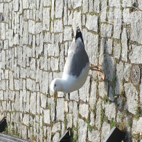 фото из отзыва ID 1930575