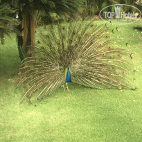 фото из отзыва ID 1930594