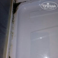 фото из отзыва ID 1930638