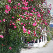 фото из отзыва ID 1930731