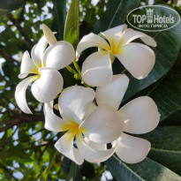 фото из отзыва ID 1930884