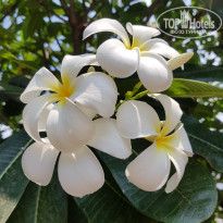 фото из отзыва ID 1930884