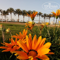 фото из отзыва ID 1930899