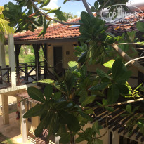 фото из отзыва ID 1931009