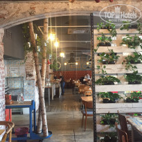 фото из отзыва ID 1931157