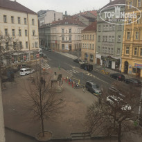 фото из отзыва ID 1931157