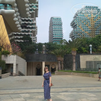 фото из отзыва ID 1931154