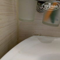 фото из отзыва ID 1931220