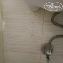 фото из отзыва ID 1931220