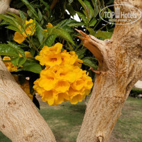 фото из отзыва ID 1931180