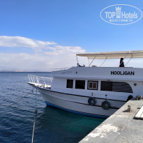 фото из отзыва ID 1931180