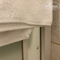 фото из отзыва ID 1931342