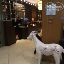 фото из отзыва ID 1931435