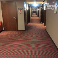 фото из отзыва ID 1931435