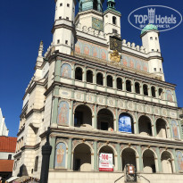 фото из отзыва ID 1931435