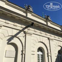 фото из отзыва ID 1931435