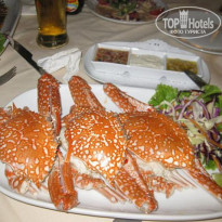 фото из отзыва ID 1931449