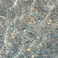 фото из отзыва ID 1931461