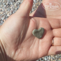 фото из отзыва ID 1931461