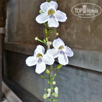 фото из отзыва ID 1931477