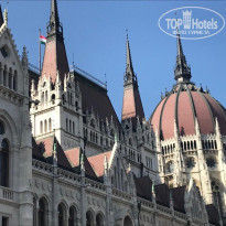 фото из отзыва ID 1931084