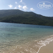 фото из отзыва ID 1931381