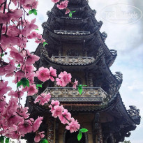 фото из отзыва ID 1931381