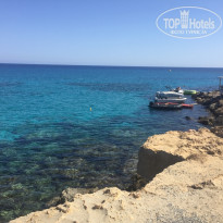 фото из отзыва ID 1931522