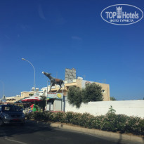 фото из отзыва ID 1931522