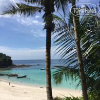 фото из отзыва ID 1931259