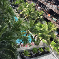 фото из отзыва ID 1931259